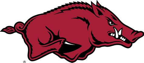 Hog mascot of Arkansas
